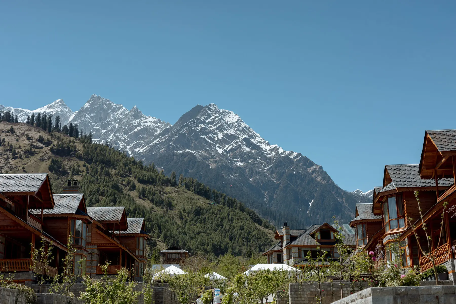High Altitude, Low Rules — Mongolian-inspired celebration décor by Sage & Saaj
